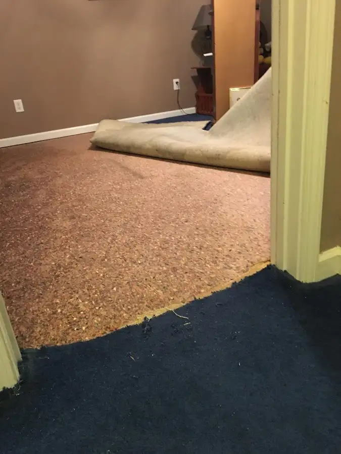 Carpet pad removal revealing water damage during Water Mitigation Services in New Brighton