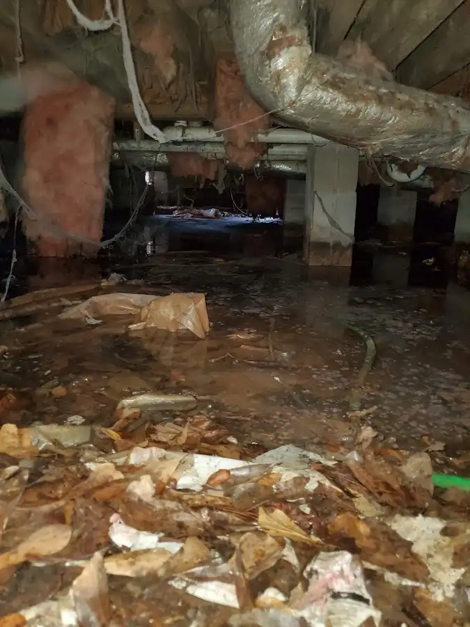 Crawl space flood assessment for Leak Detection & Repair in New Brighton