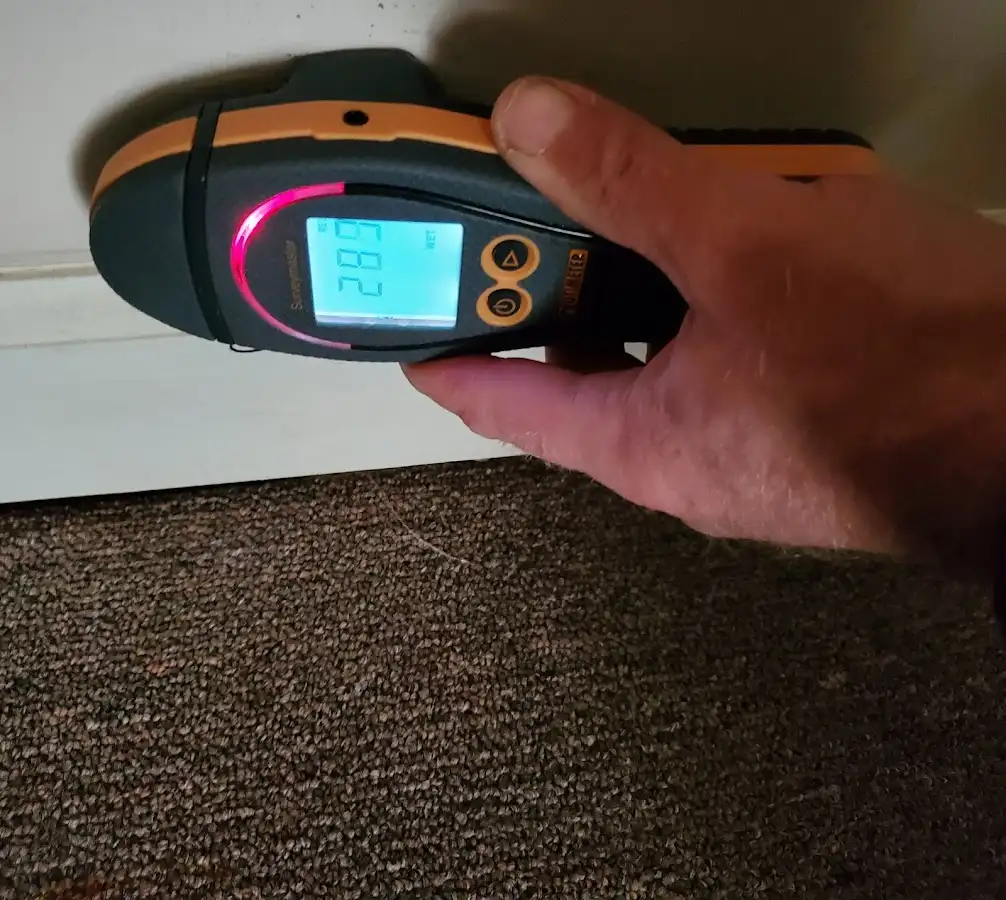 Moisture detection at baseboard during Sewage Cleanup & Sanitation in New Brighton